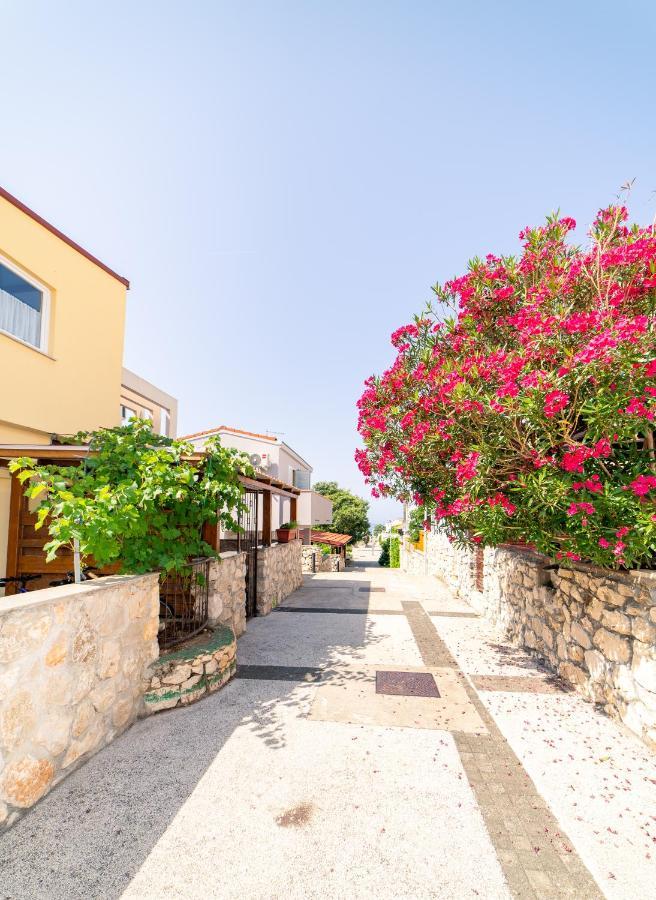 Guesthouse Lastavica Novaglia Esterno foto